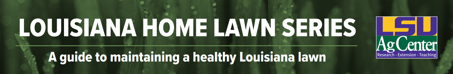 Louisiana Home Lawn Series: Crowfootgrass 